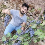 Kadir