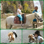 Ceyhan