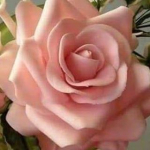 Hatice
