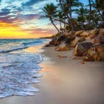 Erdal