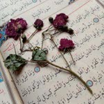 Ayşe
