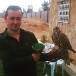 Yalçın