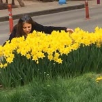 Aynur