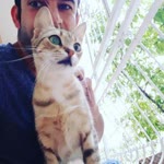 Metin