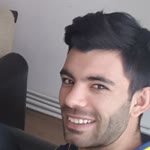 Şahin