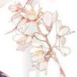 Arif