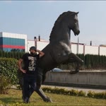 Sinan
