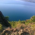 Jale