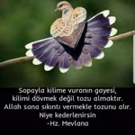 Aykut