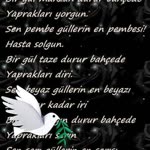 Fadıl