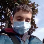Bulut