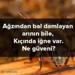 Mahsun