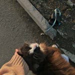 Zeynep