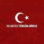 Samet