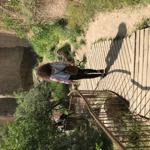 Melis