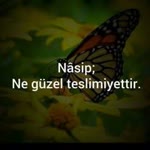 Elif