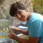 Ahmet
