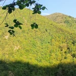 Kuzey