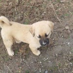 Ufuk