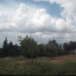 Dilek