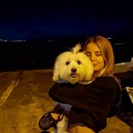 Buse