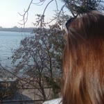 Pelin