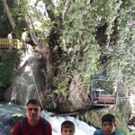 Sadettin