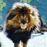 Zafer