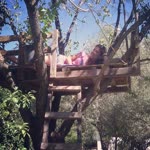 Ceren