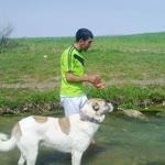 Murat