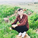 Ali