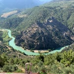 Saliha