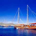 Murat