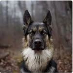 Emrah