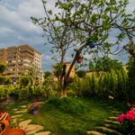 Özkan