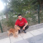 Ulaş