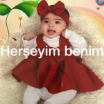 Tc Ulaş