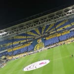 Yiğit