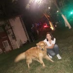 Yasemin