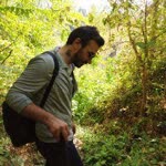 Taha