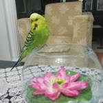 Gizem