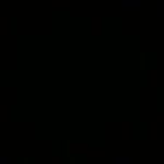 Selim