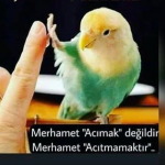 İlhan