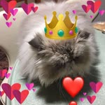 Neslihan