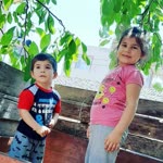 Şahin