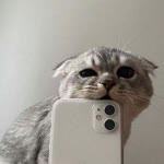The