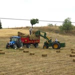 Türkbey