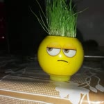 Yusuf