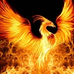 Erhan