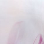 Nur